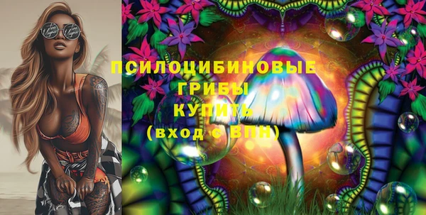 ешки Нягань