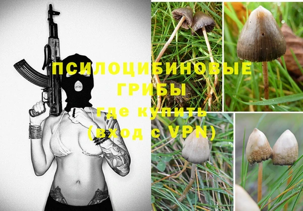 мдпв Няндома