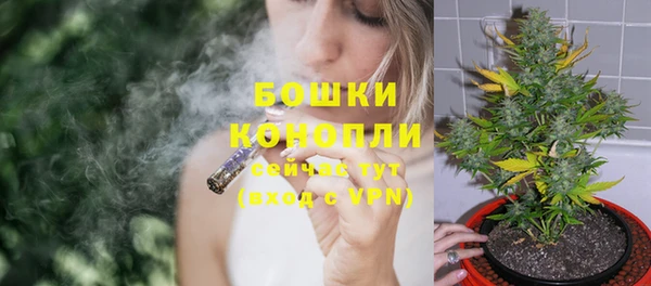 мдпв Няндома